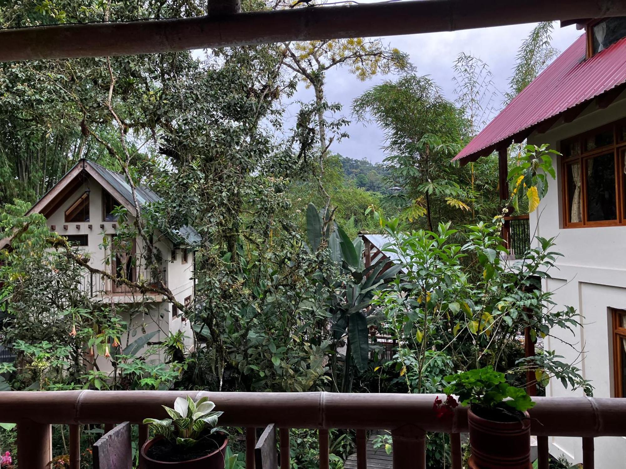 Casa Del Rio En Mindo Bed & Breakfast Exterior photo
